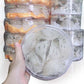 Yến thô ít lông - 100gr | Yến thô | Yến Trần Gia